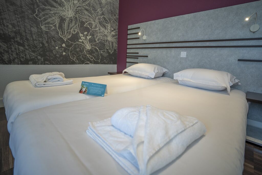 Chambre double avec un grand lit double